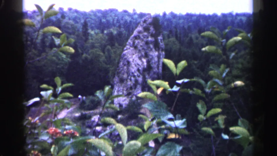 1960 Michigan 8mm frame showing leafy plants, a tall rock formation, and a forested ridge under a pale sky.