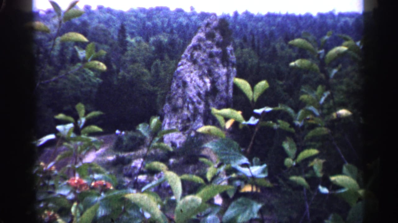 Tall rock formation rising above leafy plants with a forested hillside behind it.