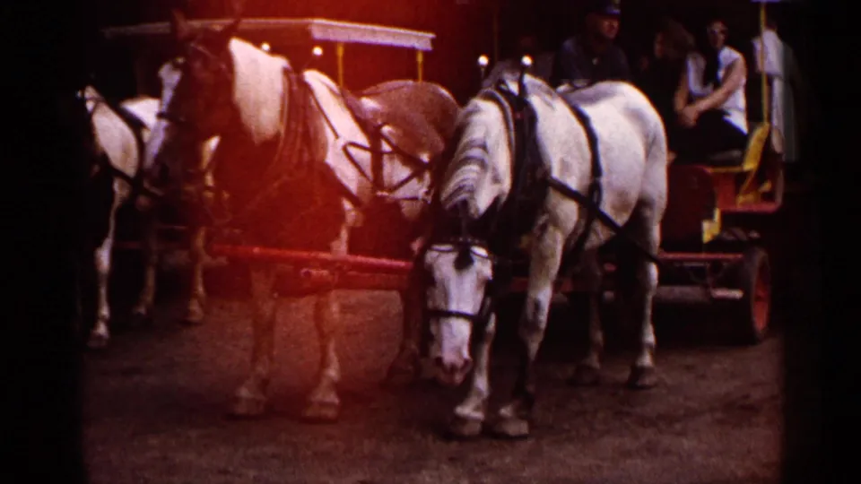 1960 Michigan 8mm frame showing harnessed white horses and an open carriage with visible passengers in the background.