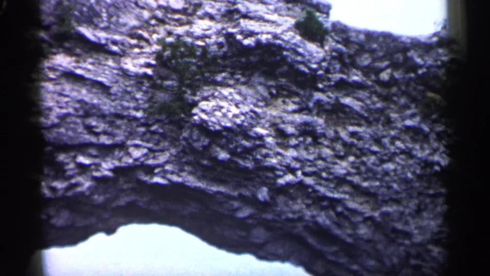 1960 Michigan 8mm frame showing textured eroded stone, a small green plant, and the underside of a natural arch.