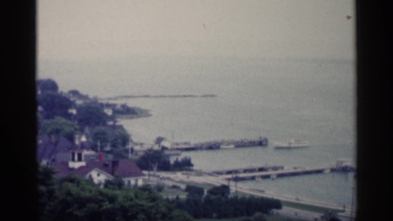 Elevated view of a lakeside town with houses, trees, piers, and water.