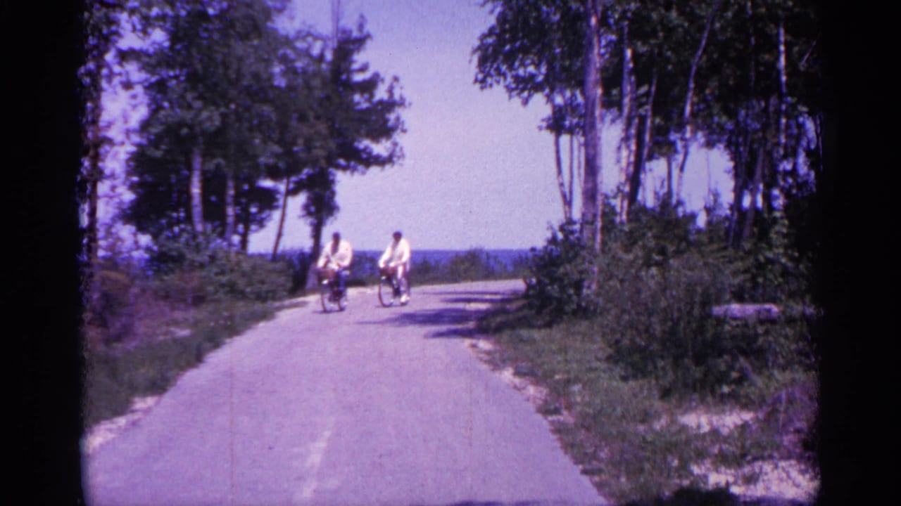Two bicyclists ride toward the camera on a quiet road lined with trees.