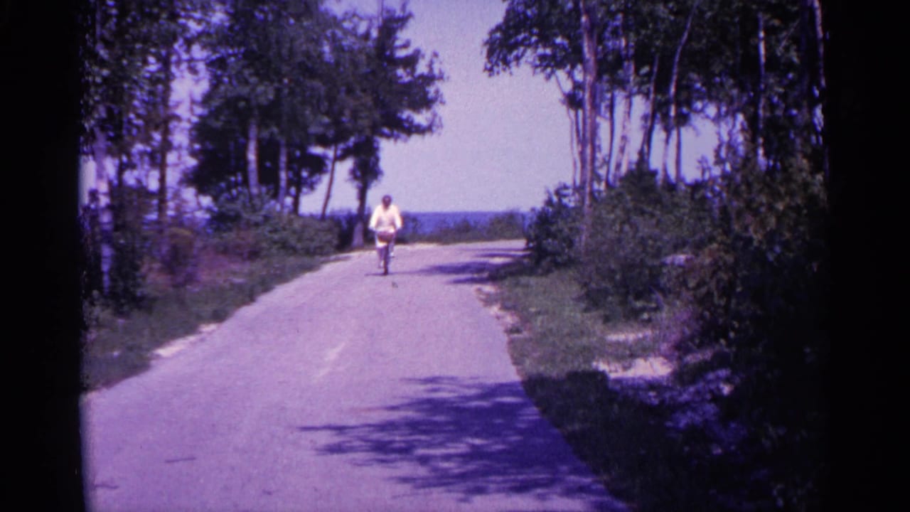 Distant cyclist rides toward the camera on a tree-lined paved road.