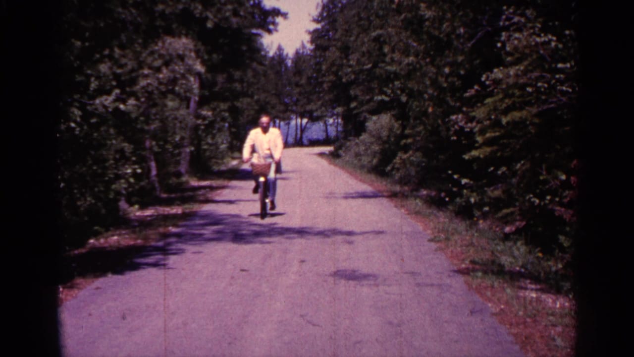 Man riding a bicycle toward the camera on a tree-lined paved road.