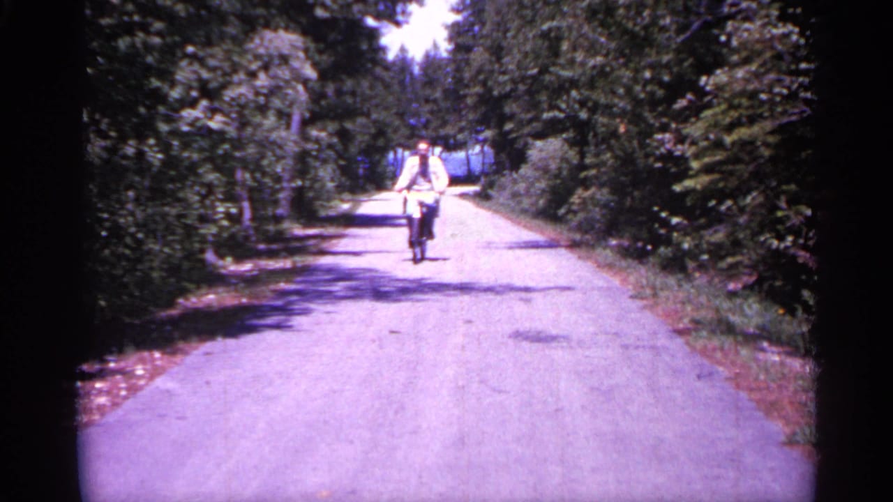 Distant man riding a bicycle toward the camera on a sunlit tree-lined road.