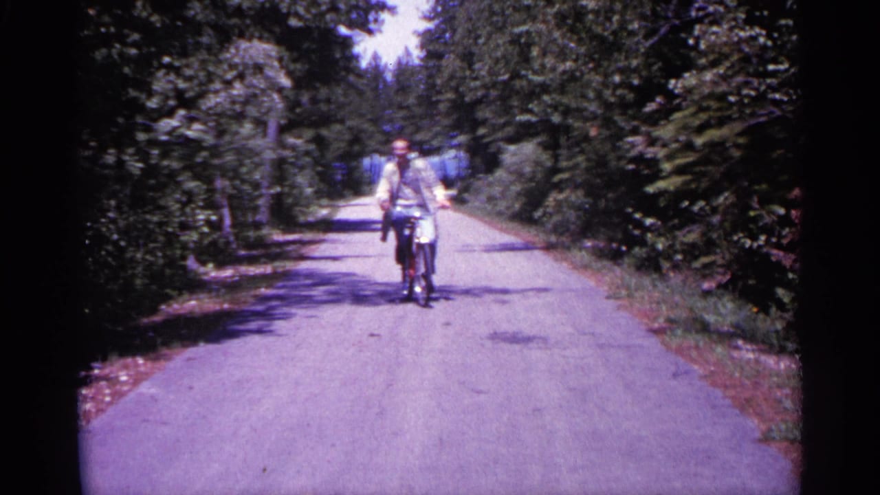 Man on a bicycle closer to the camera, riding between trees on a paved road.
