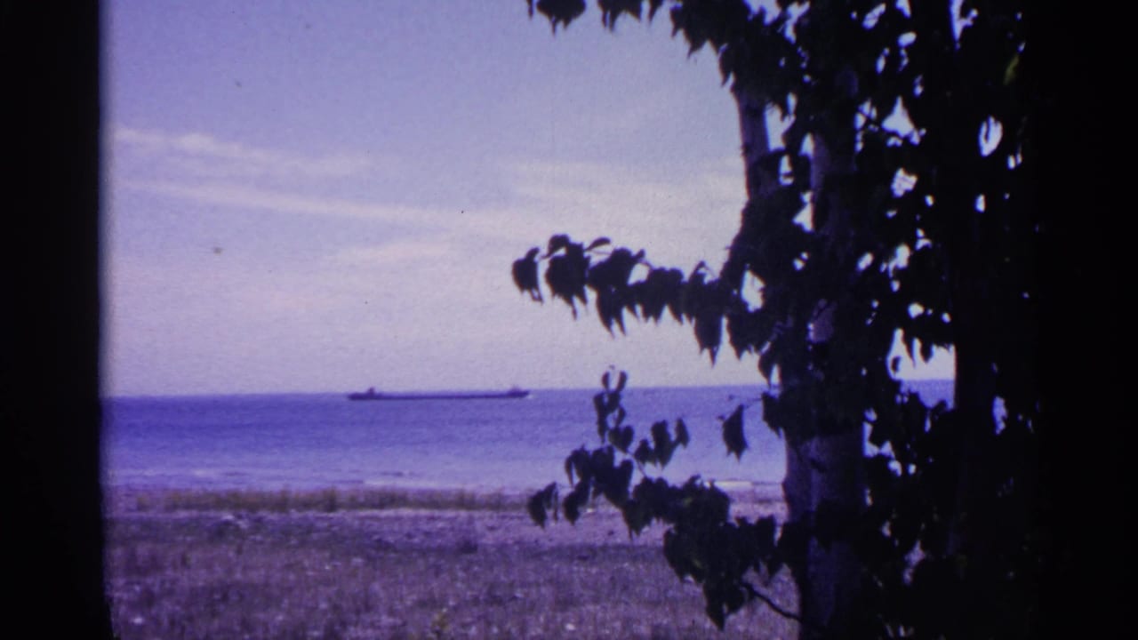 A long cargo ship sits on the horizon across blue Michigan lake water, framed by silhouetted tree branches.