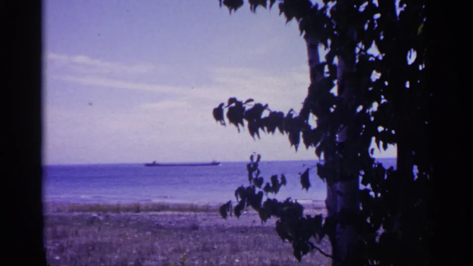 A long cargo ship sits on the horizon across blue Michigan lake water, framed by silhouetted tree branches.
