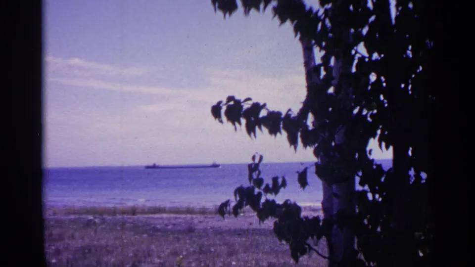 The 1960 Michigan lakeshore view shows a cargo ship near the horizon, with dark leaves and a tree trunk in the foreground.