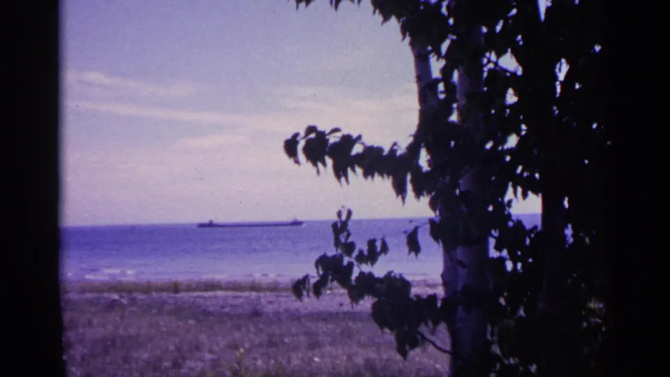 A long vessel remains visible across the Michigan lake, partly framed by dark foreground foliage and a vertical tree trunk.