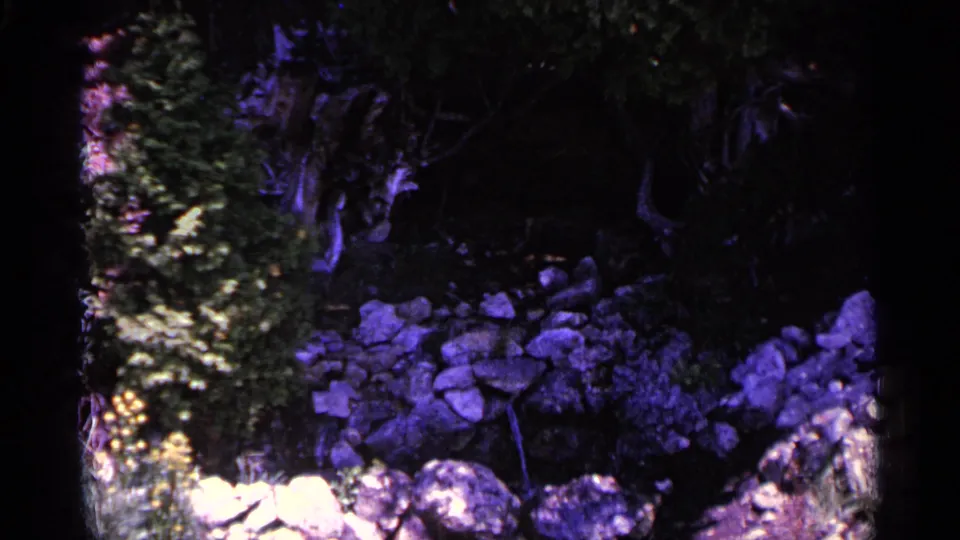 1960 Michigan 8mm frame showing a rocky wooded area with dense foliage, tree trunks, and shaded stones under a purple-blue cast.