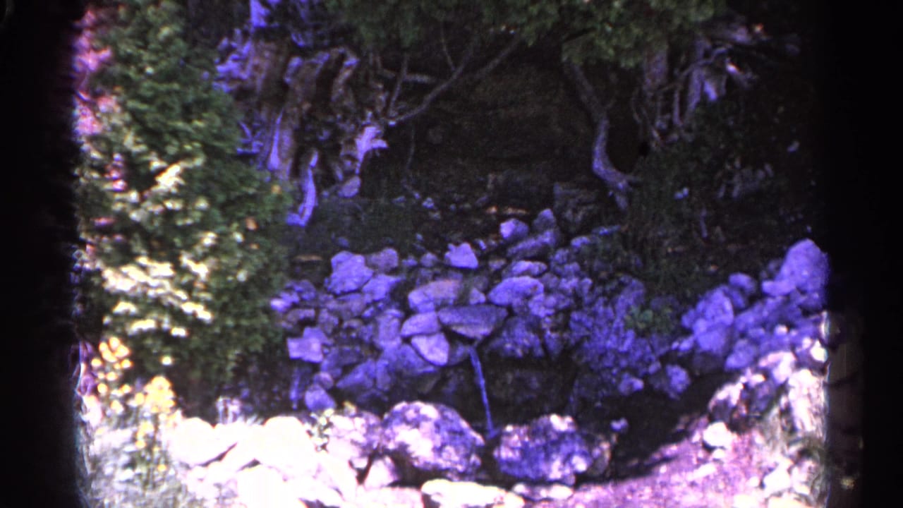 Stone ledge and wooded rocks surrounded by dark foliage.
