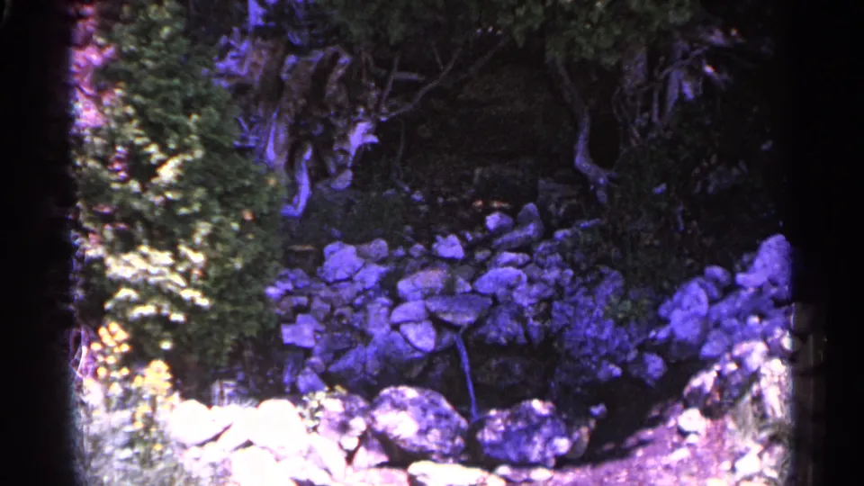 1960 Michigan 8mm frame showing a rocky slope, trees, and dense foliage, with strong purple-blue film color shift.