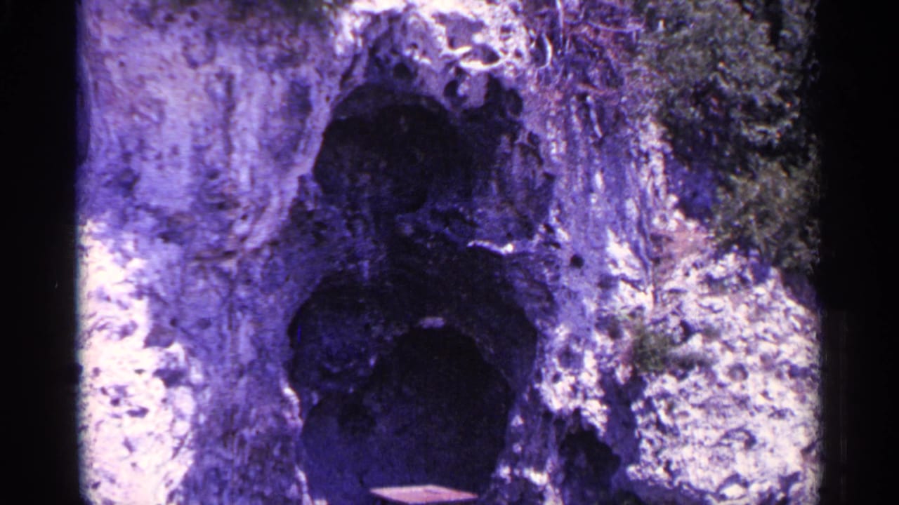 Close view of textured tree bark or stone with dark hollow shapes and purple film cast.