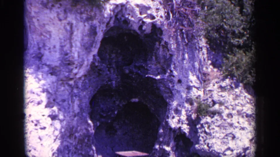 Archival 8mm frame showing a close, abstract view of textured bark or stone, with dark hollow areas and strong purple color shift.