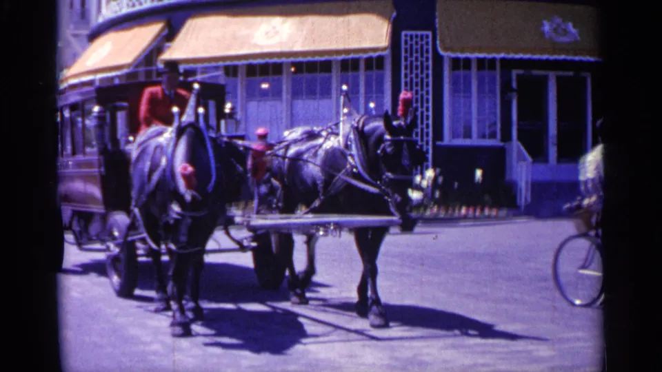 1960 Michigan street frame with horses and carriage in front of a yellow-awning storefront, with a bicycle partly visible at the edge.