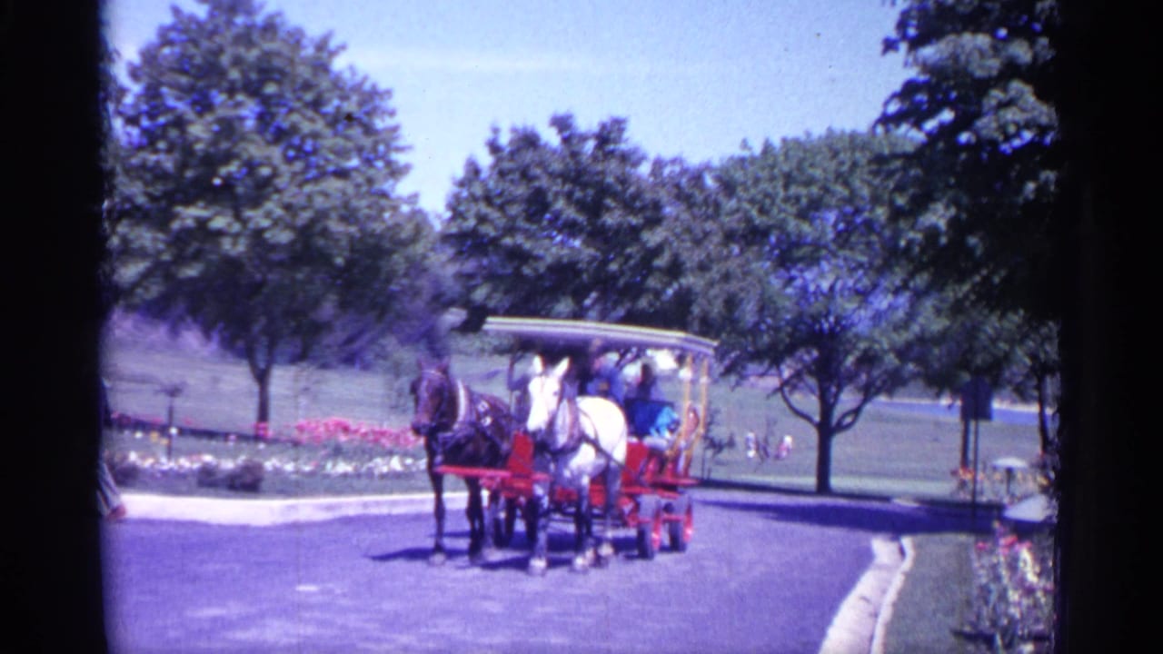 A horse-drawn passenger cart moves along a paved park road beside trees and flowerbeds.
