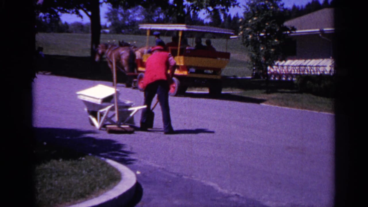 Worker sweeping a paved path as a horse-drawn carriage passes in the background.