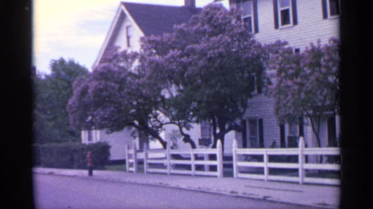 White house and fence along a quiet street, partly screened by blooming lilac trees.