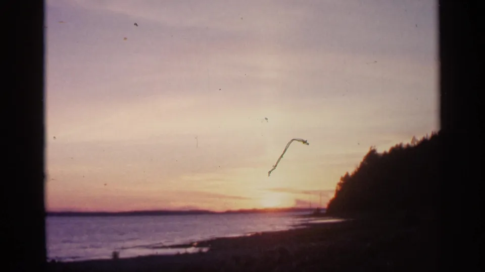 1960 Michigan 8mm frame of a sunset over water, dark trees at right, and a visible scratch across the sky area.