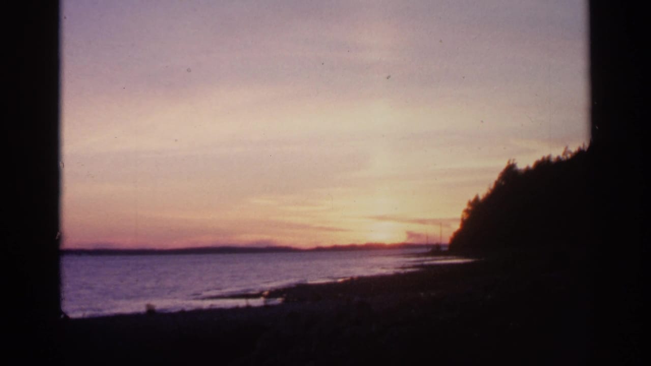 Sunset over open water with a dark wooded shoreline and beach edge.