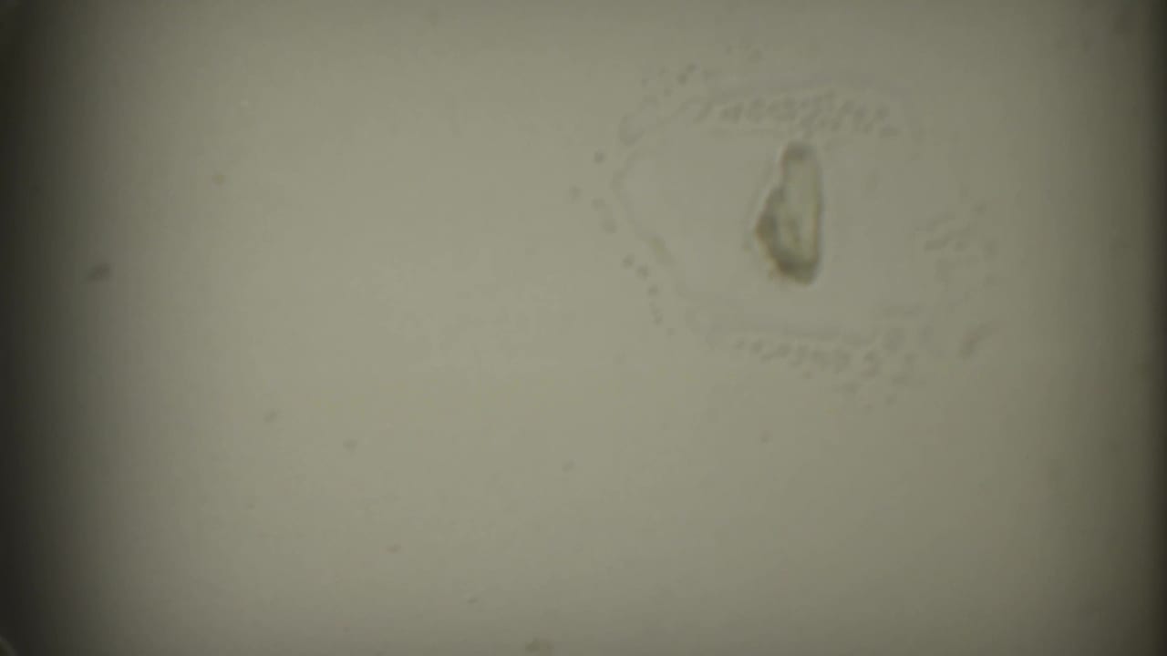 Pale frame with a small stain-like mark and faint handwriting near the top right.