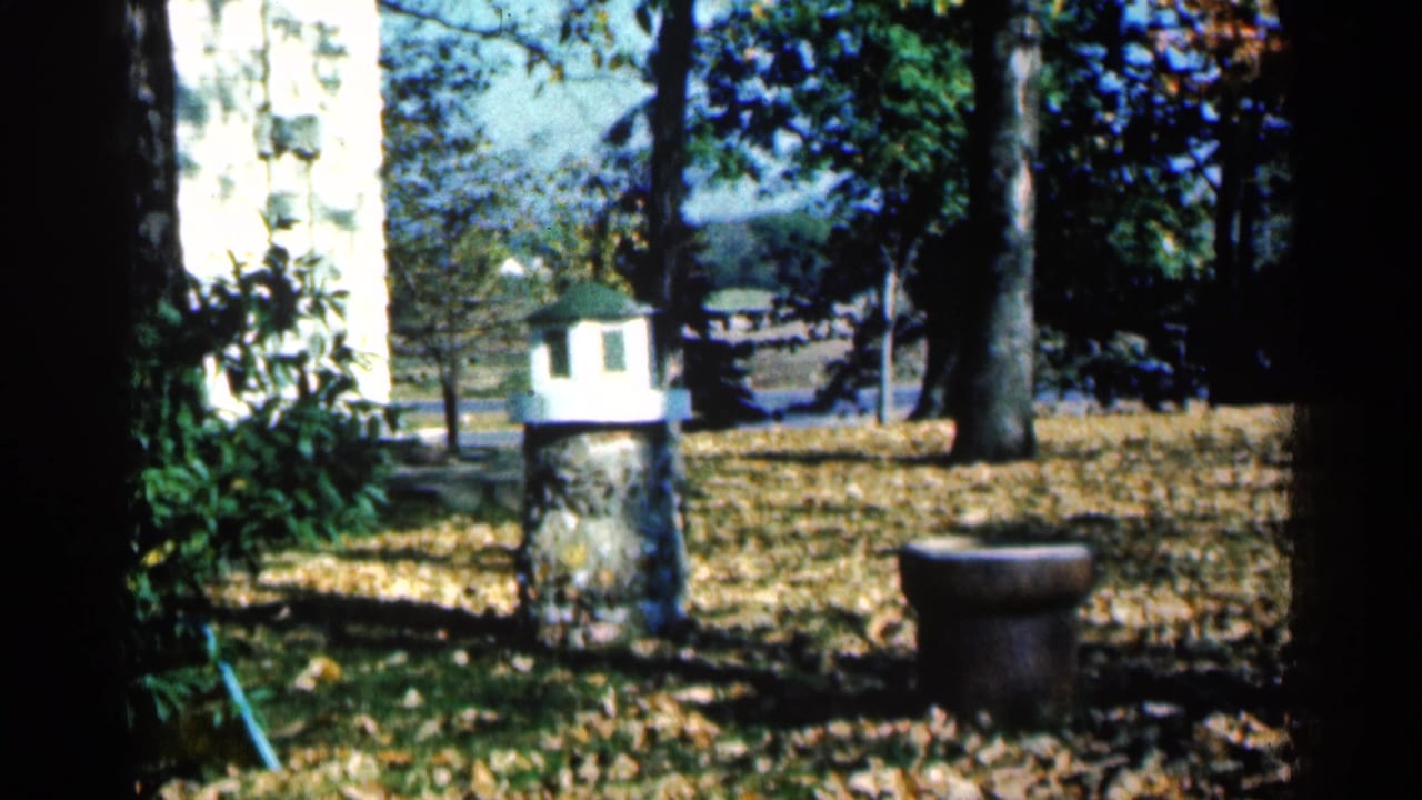 Leaf-covered yard with trees, stone birdhouse posts, and a small bowl-shaped yard ornament.