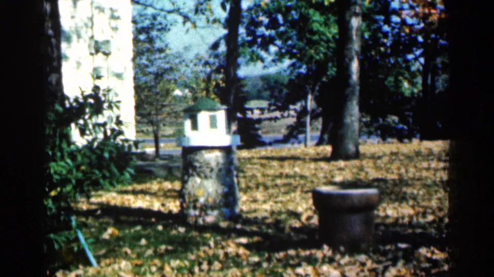 1961 Minnesota 8mm frame showing a shaded yard with fallen leaves, tree trunks, stone birdhouse structures, and a small garden ornament.