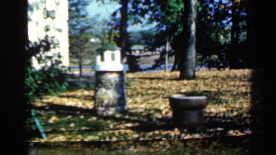 1961 Minnesota home-movie frame of a residential yard with stone birdhouses, mature trees, fallen leaves, and a low round garden feature.