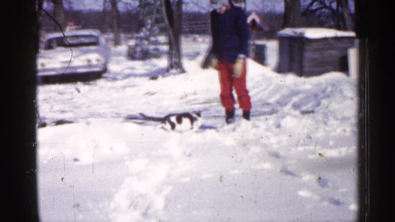 Person in red pants stands in deep snow as a black and white cat moves nearby.