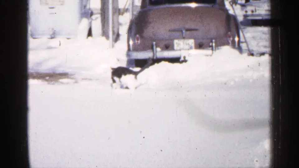 A black and white cat crosses a snowy Minnesota driveway or yard near the rear of a classic parked car in a 1961 8mm frame.