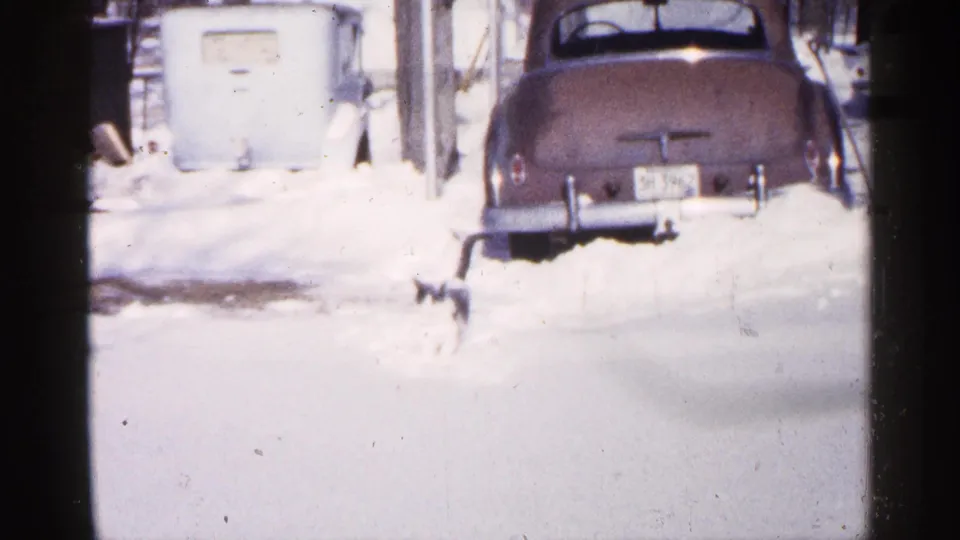 A soft 8mm frame shows the cat near the lower snowfield while a classic car and residential exterior sit behind it in Minnesota winter.