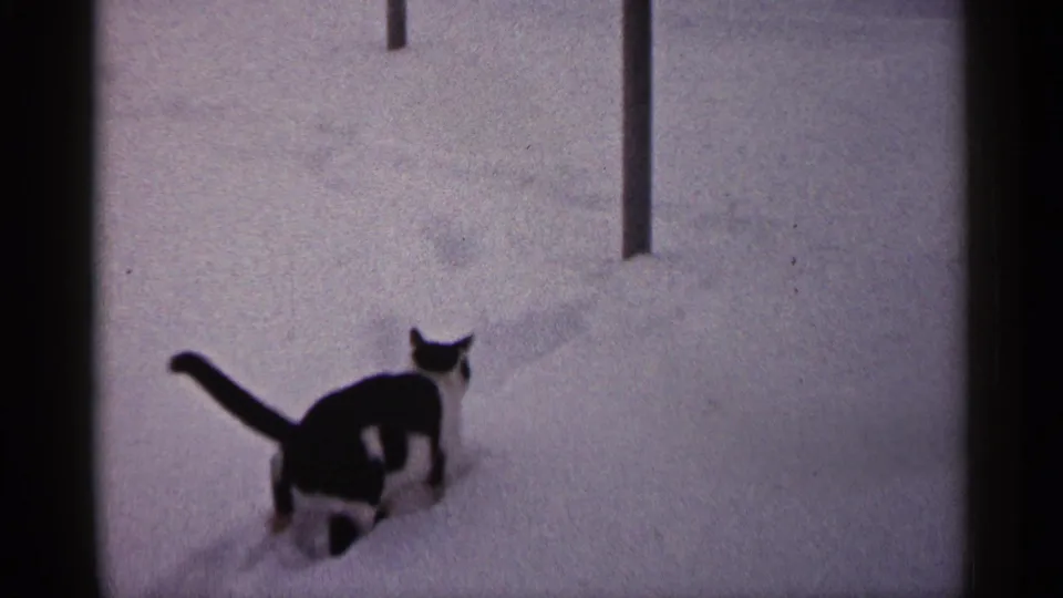 The cat moves through deep snow in a 1961 Minnesota home-movie shot, leaving small tracks across the snowy yard.