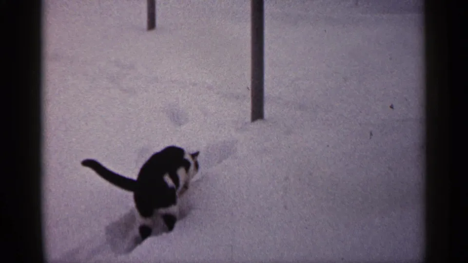A black and white cat crosses deep snow in a Minnesota winter yard, filmed in 1961 on 8mm home-movie stock.