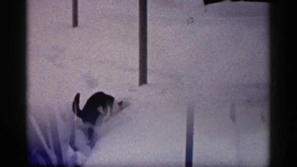 The cat moves through deep snow near vertical porch posts in a quiet 1961 Minnesota winter yard.