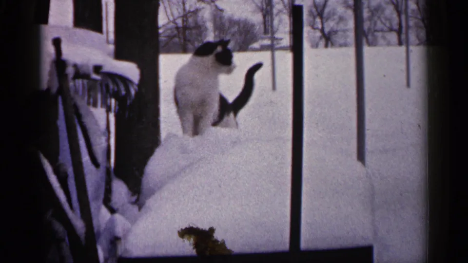 A black and white cat pauses near a snow-covered porch in the 1961 Minnesota home-movie scene.