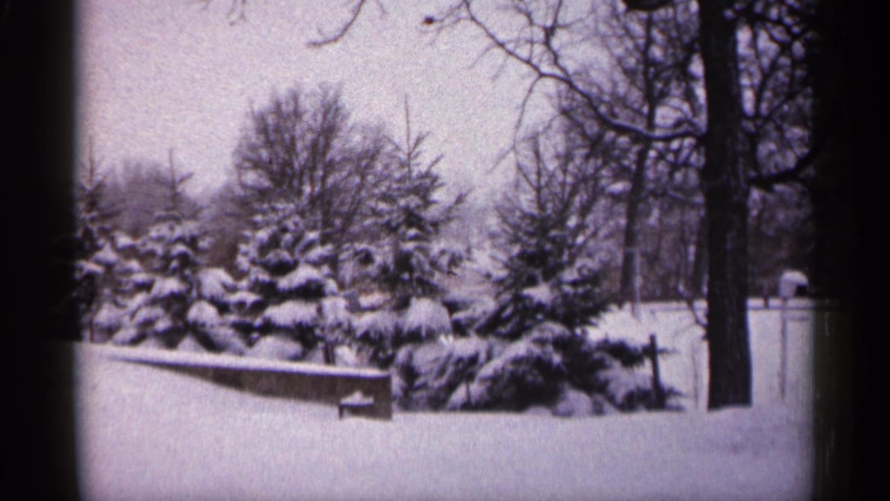 Snowy yard with evergreens, bare branches, a low wall, and a fence at right.