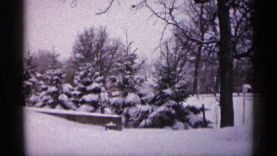 1961 Minnesota home-movie frame of a snow-covered yard with evergreens, bare trees, wall, and fence detail.