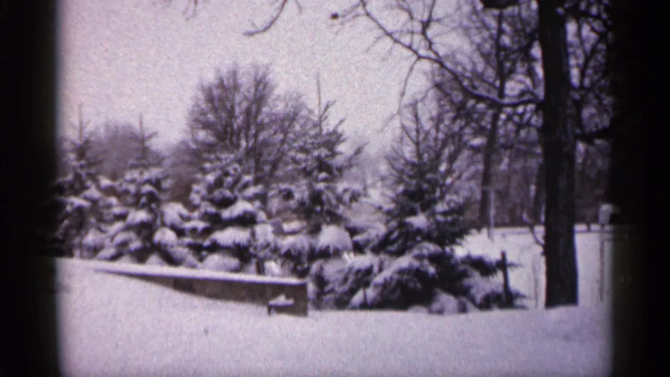 1961 Minnesota 8mm view of snow-heavy evergreens, a low wall, bare branches, and a dark foreground tree trunk.