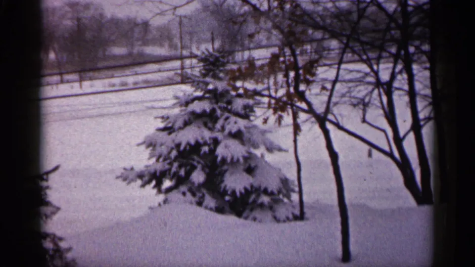 1961 Minnesota winter frame showing open snow, a snow-covered evergreen, bare trees, and a distant fence line.