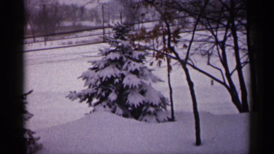 1961 Minnesota winter home-movie frame with a snow-laden evergreen, bare trees, and a pale snowy background seen from a fixed viewpoint.