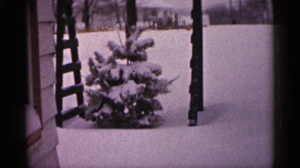 1961 Minnesota home-movie frame showing a small evergreen heavy with snow beside a house, with an open snowy yard beyond.
