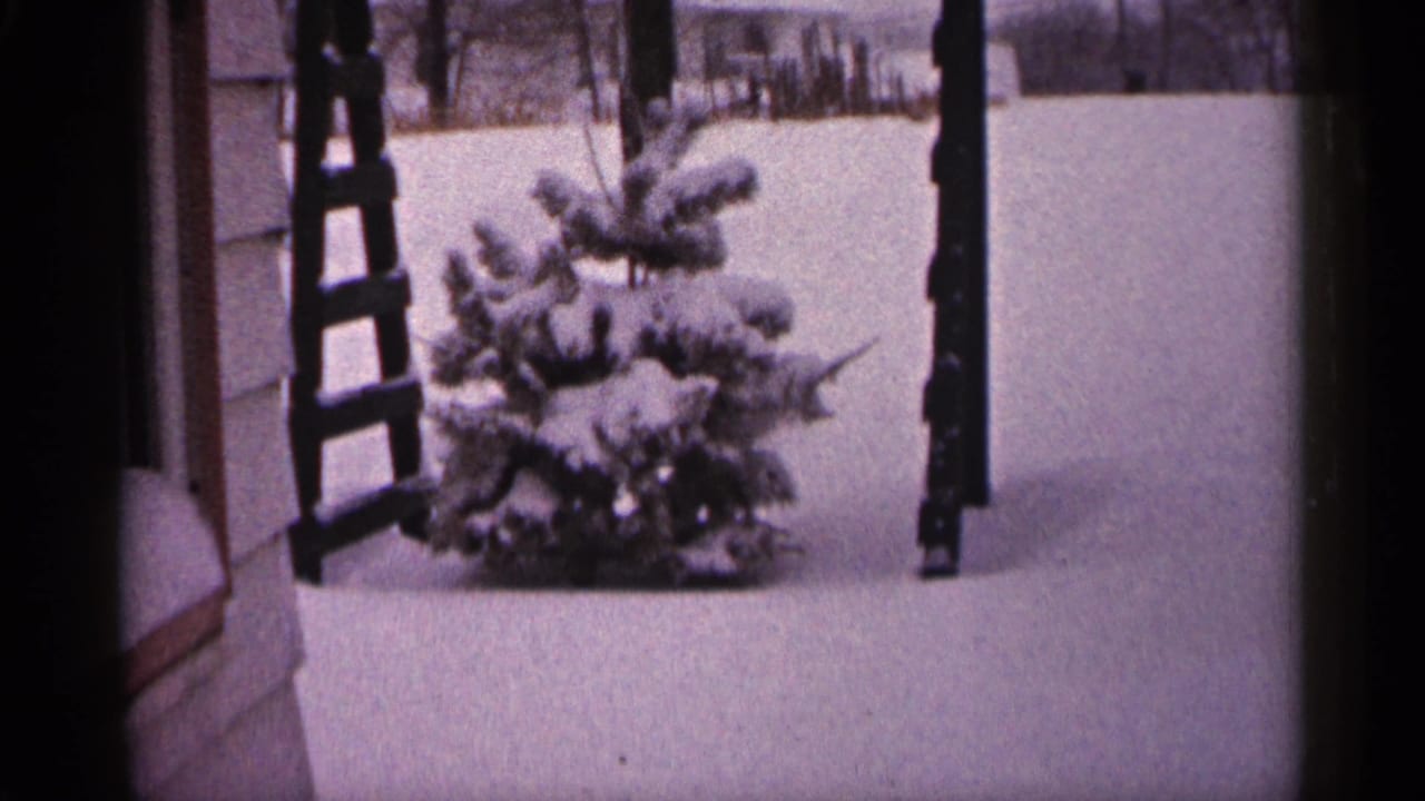 1961 Minnesota 8mm frame showing a small evergreen in deep snow beside house siding and a ladder near the porch.