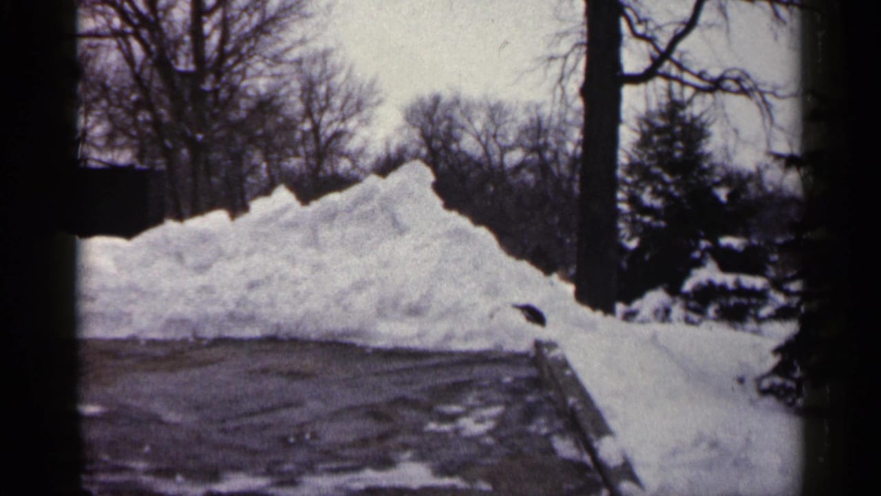 Large snowbank beside wet or icy pavement with bare trees behind it.