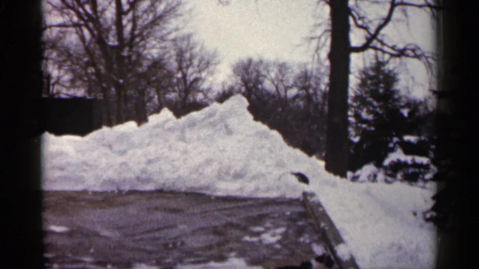 1961 Minnesota winter frame with a roadside snowbank, wet pavement, bare trees, and a dark evergreen at the edge of the scene.