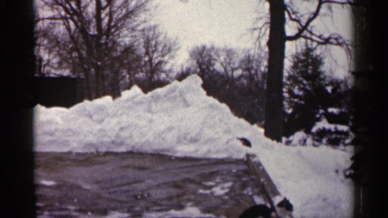 Snow piled beside a driveway with bare winter trees in the background.