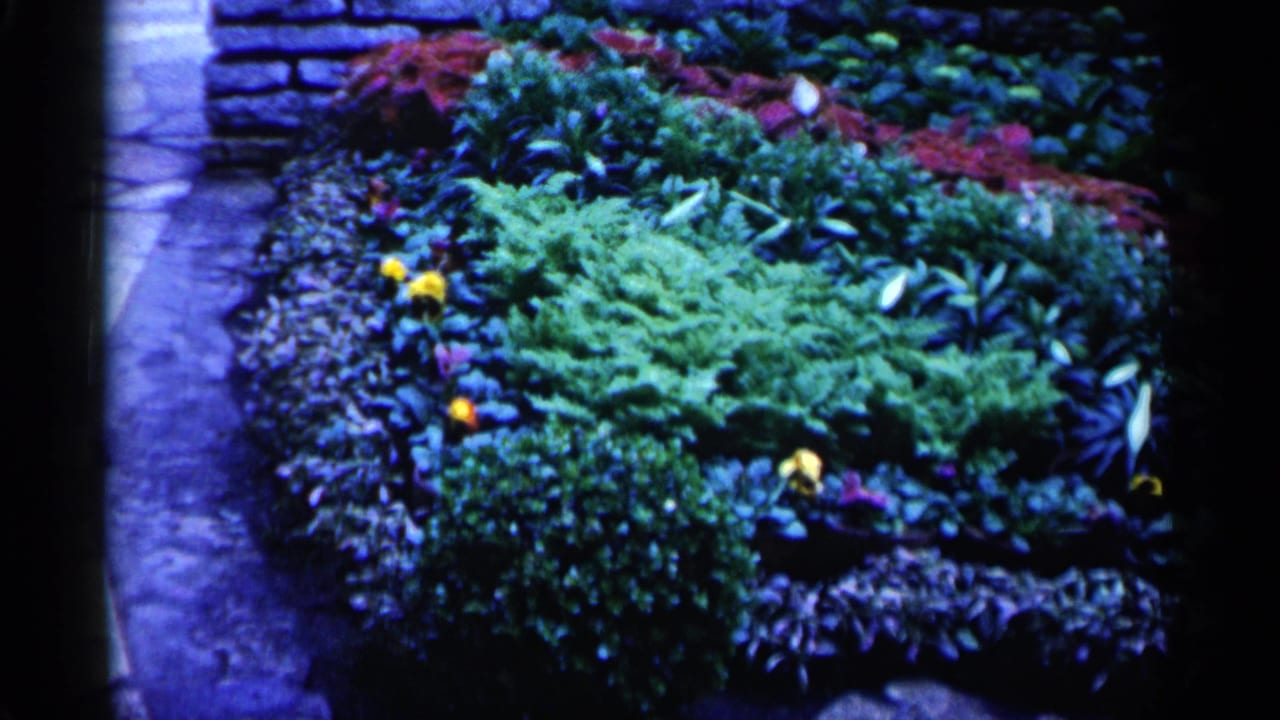 Tiered garden bed with green foliage, yellow flowers, red plants, and a stone wall.