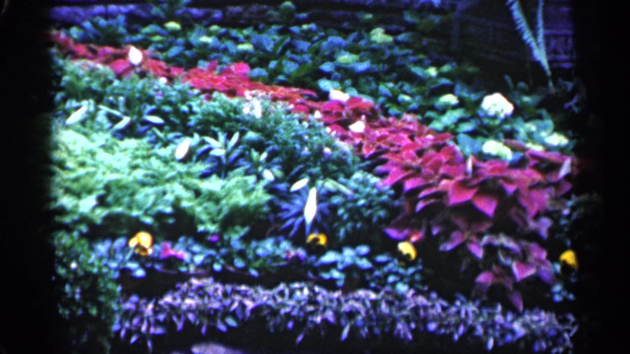 Garden display with dense green plants, red foliage, pale blossoms, and yellow flowers.