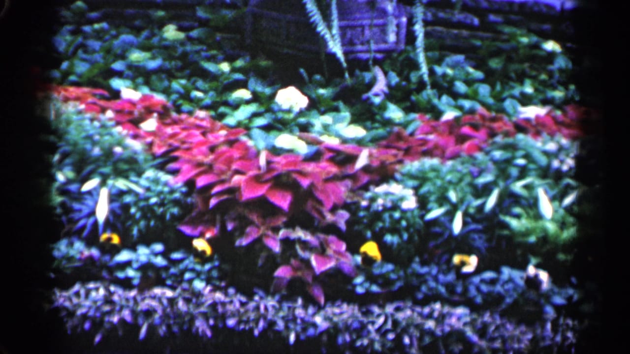Colorful planted garden bed with red, white, yellow, purple, and green foliage before a stone wall.