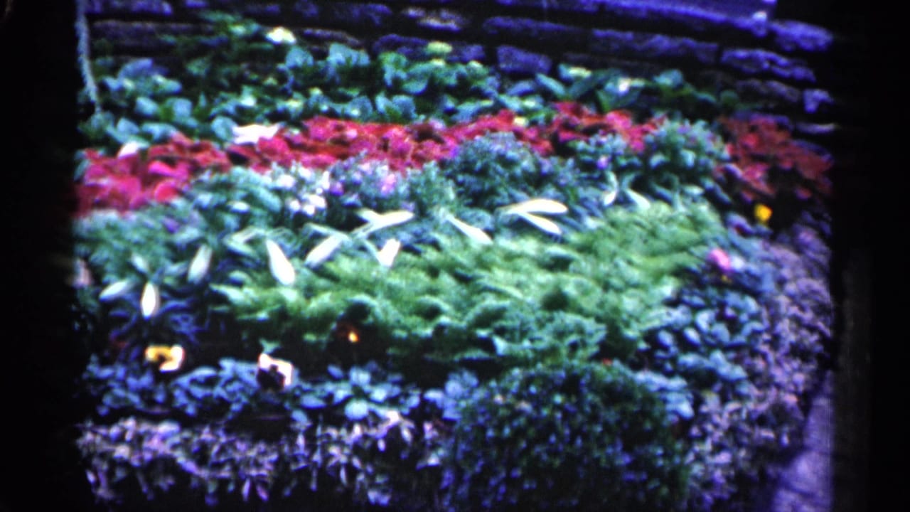 Colorful flower beds and green foliage inside a greenhouse garden.